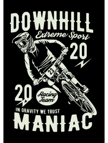 Downhill Maniac Racing